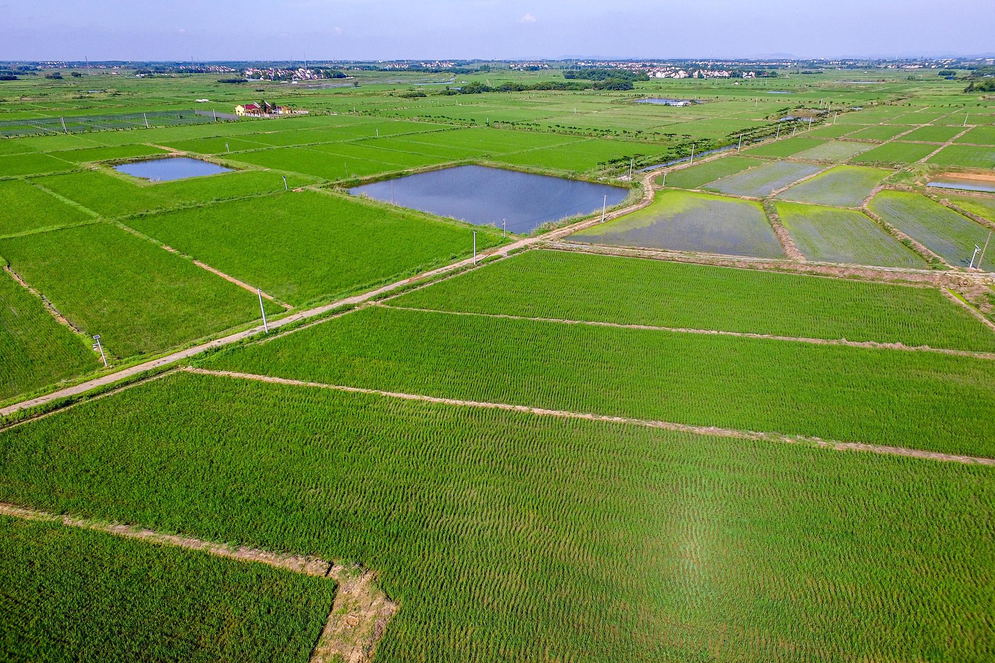 服务乡村振兴兴业银行助力农发行高标准农田建设主题债券发行