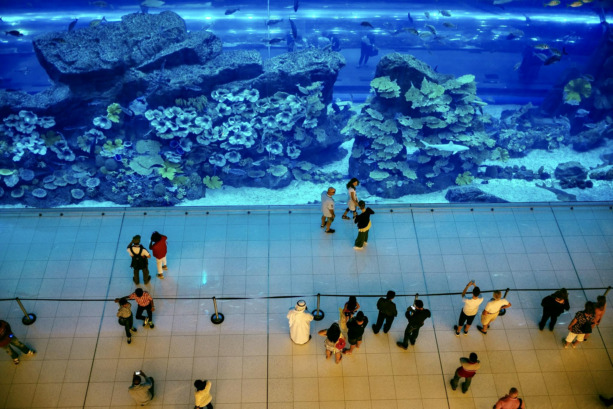 亚洲购物中心室内zui大360全景环绕柱状海洋馆亮相重庆