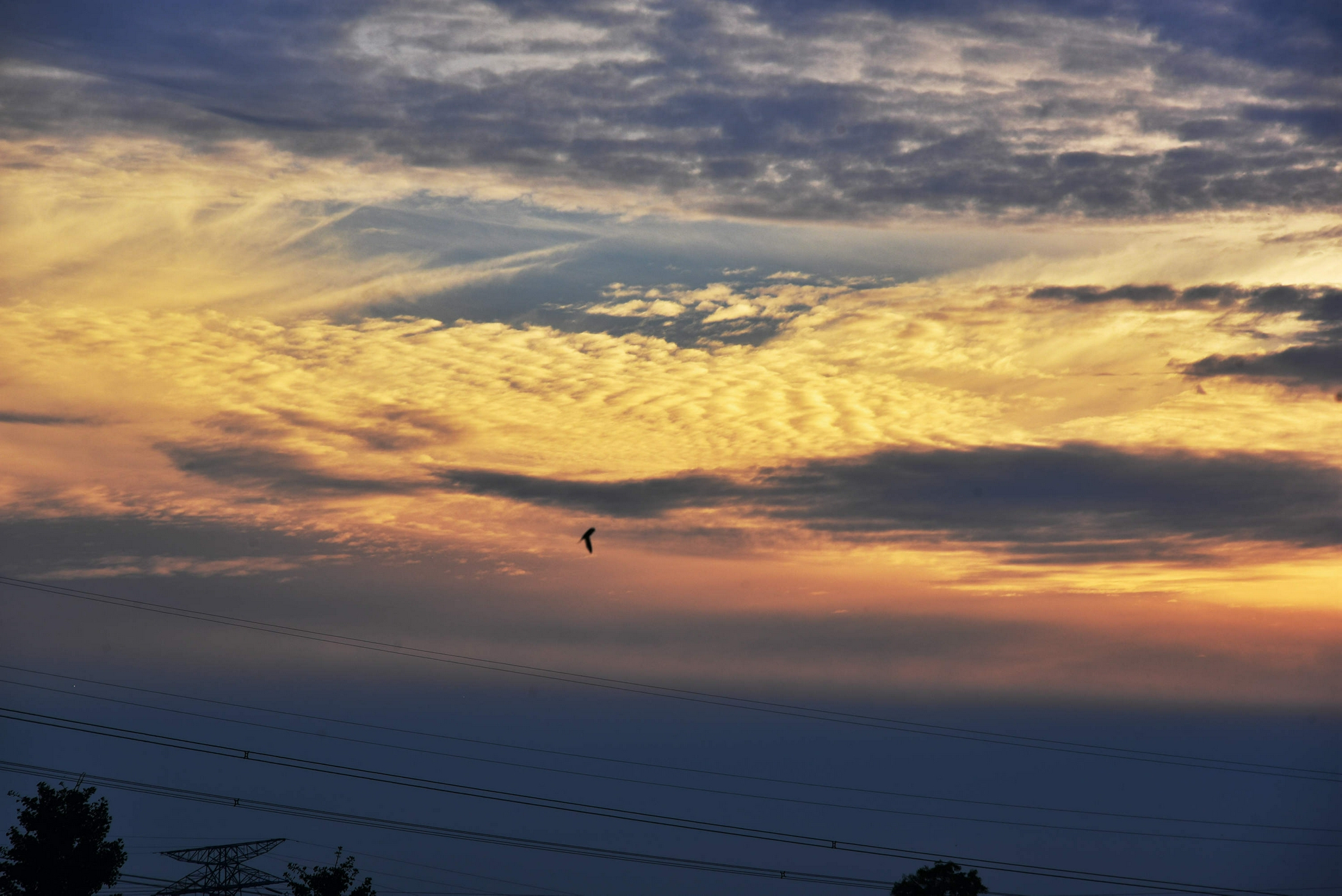 盛夏傍晚的天空,无锡斗山,2021年入伏第一天.