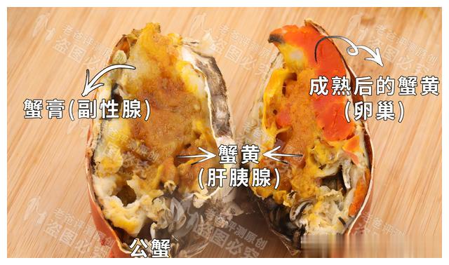 原来公蟹也有蟹黄,这个部位不是母蟹专属__财经头条