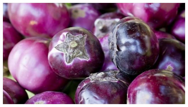 都是茄子 长条 和 圆形 有啥区别 别再乱买了 买错不好吃 财经头条