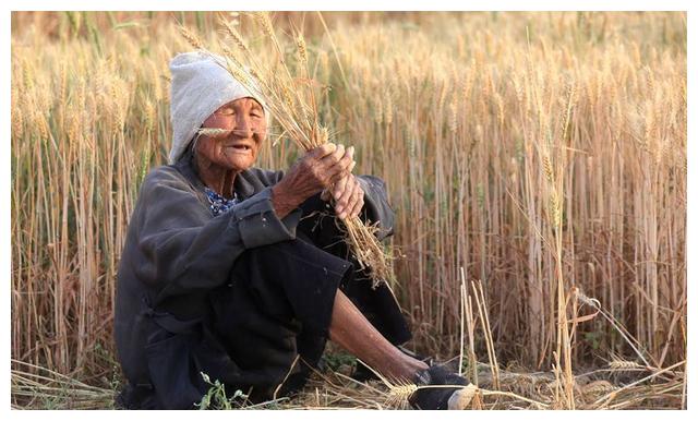 周口百岁老奶奶铁铲锵麦子,刨地耕种全凭一人,独立劳作