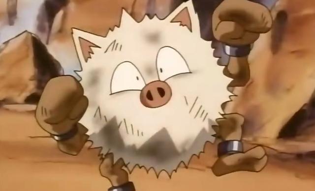 精灵宝可梦火爆猴也有温柔的时候小智果然教导有方