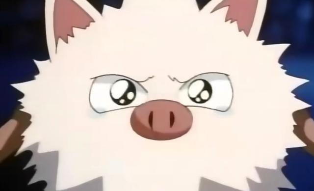 精灵宝可梦火爆猴也有温柔的时候小智果然教导有方