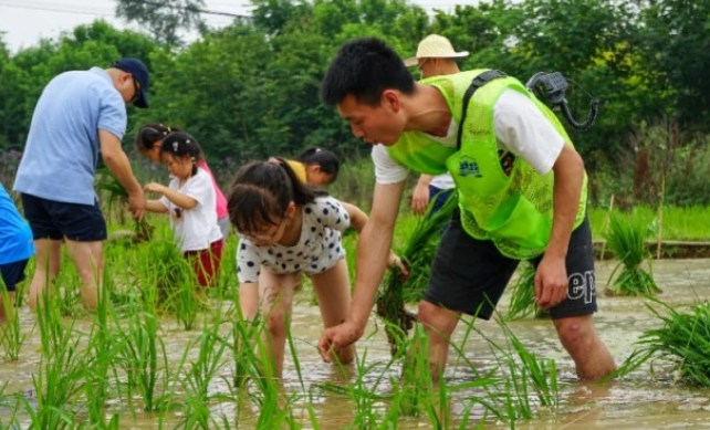 委员建议中小学生学插秧播种,网友称纳入素质教育可比肩中考体育休闲区蓝鸢梦想 - Www.slyday.coM 委员建议中小学生学插秧播种,网友称纳入素质教育可比肩中考体育休闲区蓝鸢梦想 - Www.slyday.coM