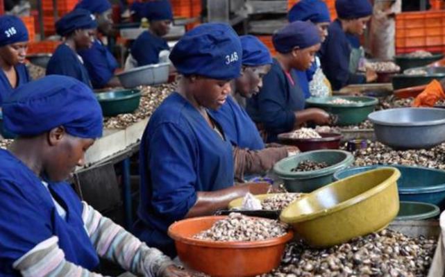 为何腰果卖这么贵?看看它的生产过程就懂了,网友:心疼那些工人