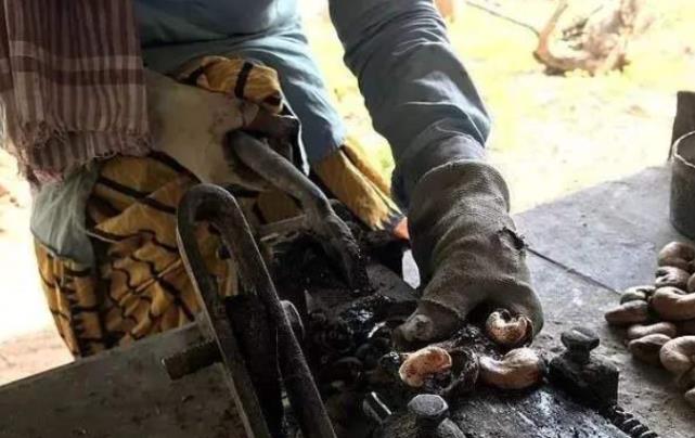 为何腰果卖这么贵?看看它的生产过程就懂了,网友:心疼那些工人