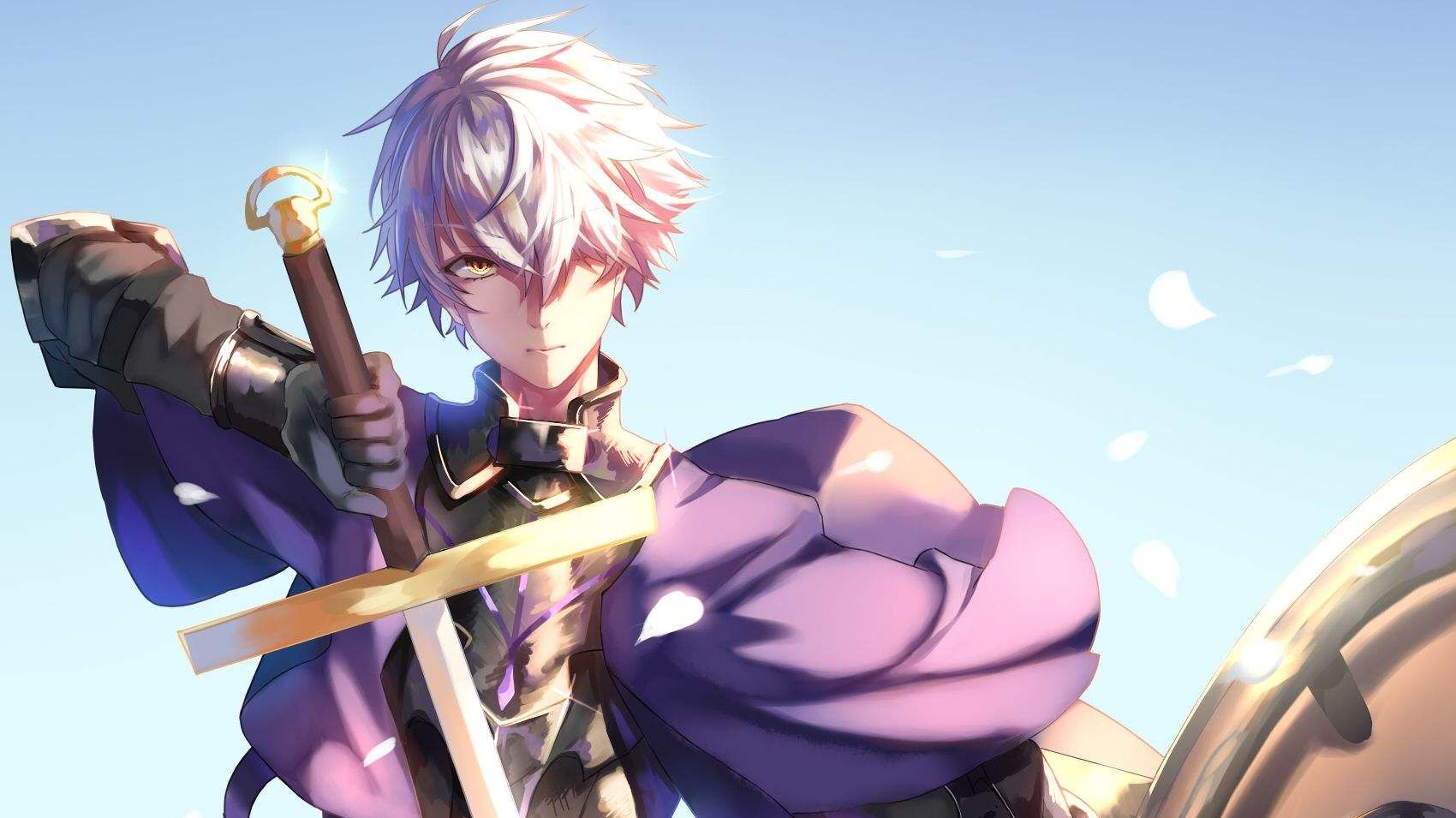 fgo精选美图圣盾的骑士加拉哈德