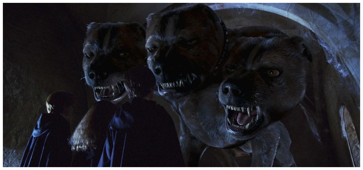 哈利他们无意间遇到了三头犬路威,后来询问海格才知道,路威是海格去年