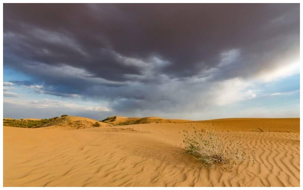 中国内蒙古出现奇迹,将黄河的水引入沙漠之后,结果奇观出现了!