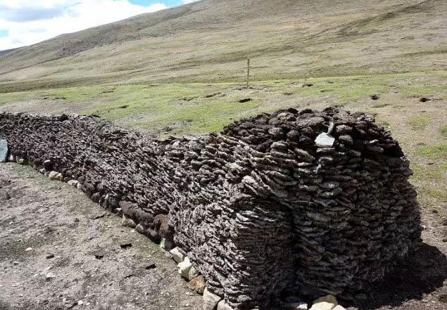 印度牛粪芯片功能 牛粪芯片防辐射效果