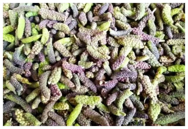 春天里的野菜枸棒槌,浑身都是宝,在城里非常受欢迎