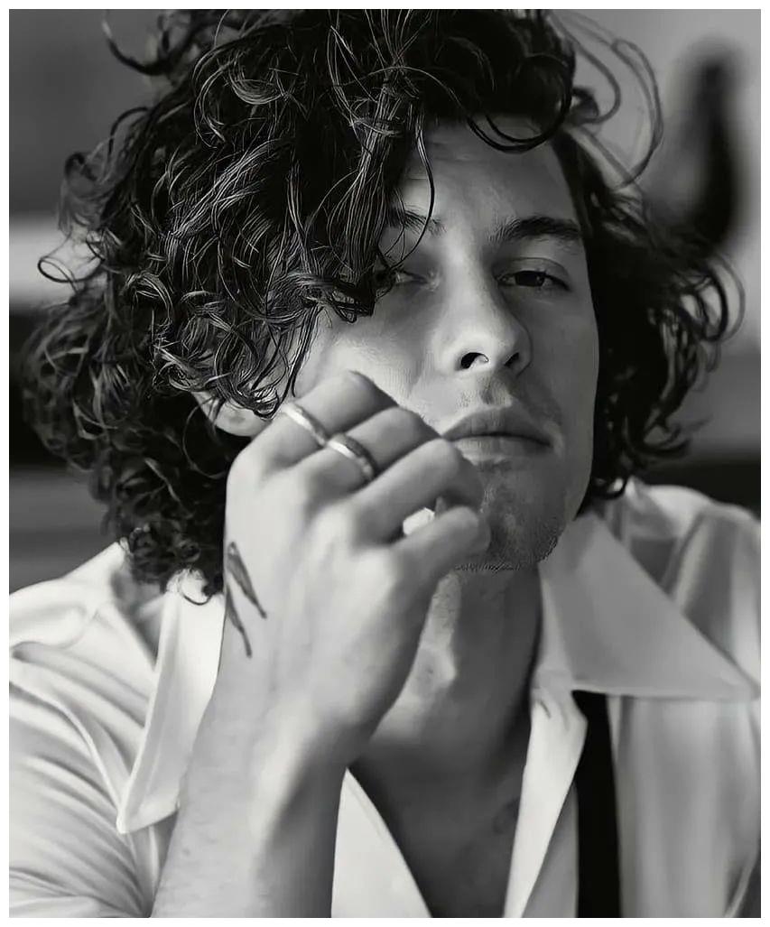 shawn mendes 最新杂志封面,22岁的他变成熟了