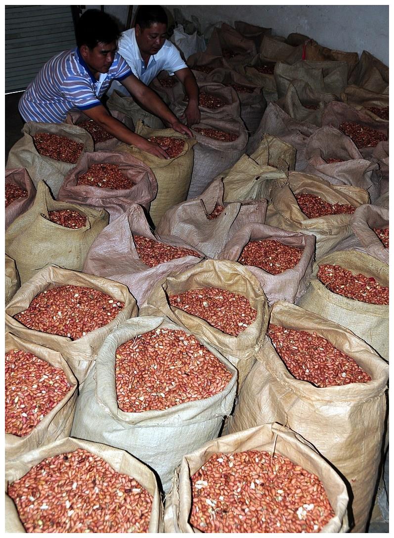 农户是卖花生果划算,还是卖花生仁划算,老人的经验太丰富了休闲区蓝鸢梦想 - Www.slyday.coM 农户是卖花生果划算,还是卖花生仁划算,老人的经验太丰富了休闲区蓝鸢梦想 - Www.slyday.coM