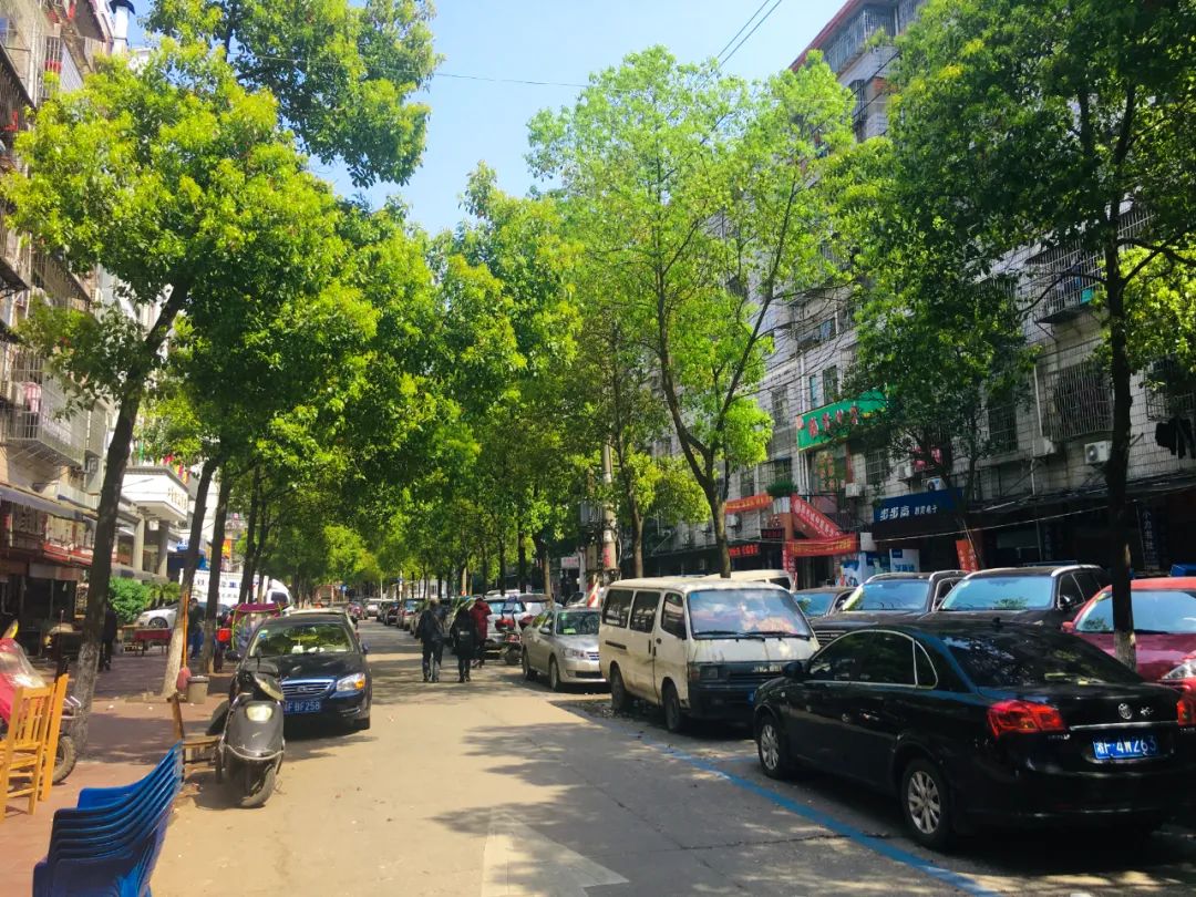 的，因为住在附近，步行几分钟就能到这家街边的小饭馆，菜都挺好吃的。岳阳就在洞庭湖边，靠湖吃湖，洞庭湖