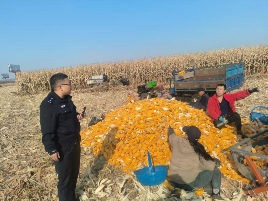 纠纷化解在地头 秋收安心有奔头