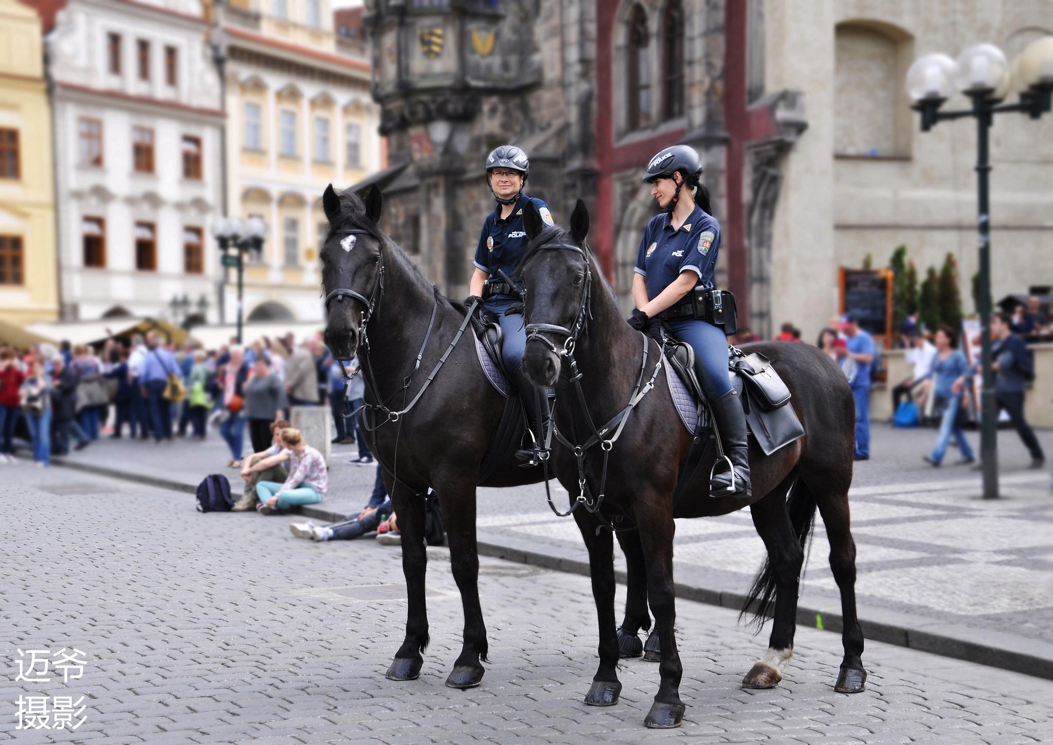 警察【原创摄影】 o警察【原创摄影】 布拉格老城广场上的美女骑警