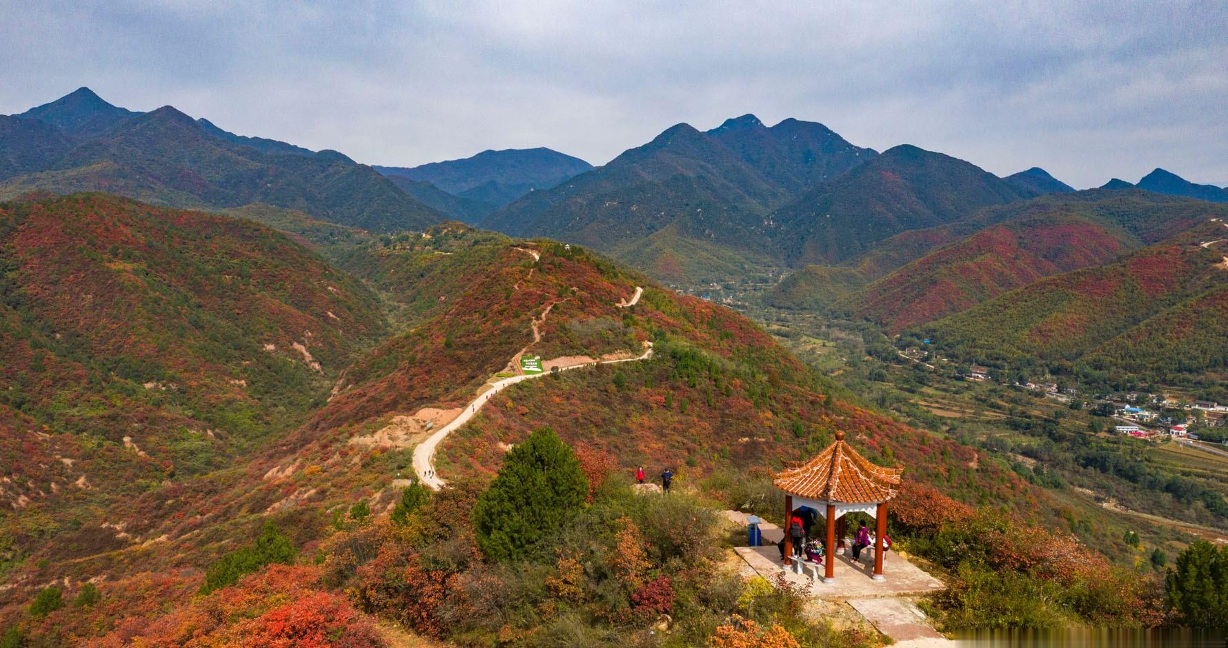 10月17日,金秋时节,位于山西省平陆县坡底乡马泉沟景区的红叶进入最佳