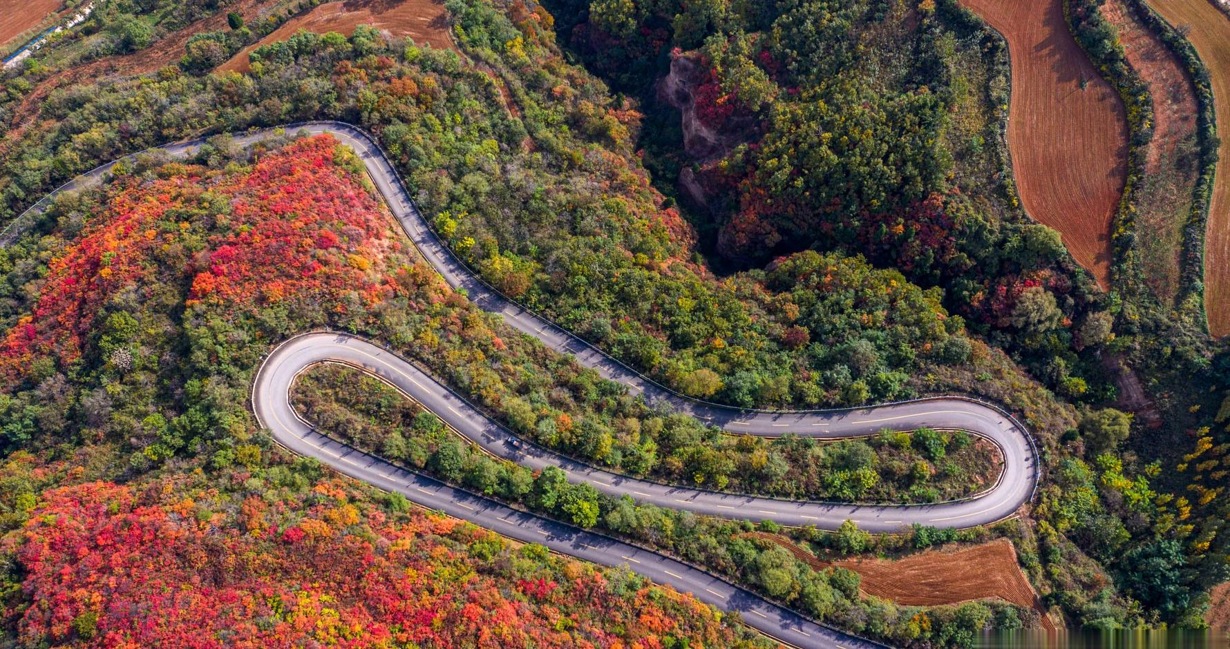 10月17日,金秋時節,位於山西省平陸縣坡底鄉馬泉溝景區的紅葉進入最佳