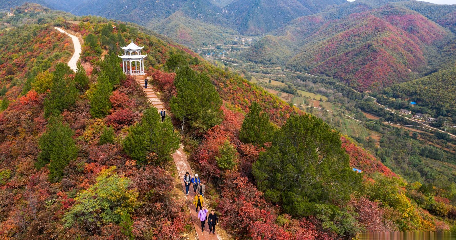 山西平陆:金秋马泉沟,一个不收门票的人间仙境