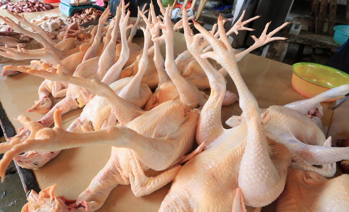 开封最好吃的桶子鸡,一锅煮200只出锅就抢光,有人一次买走10只__财经