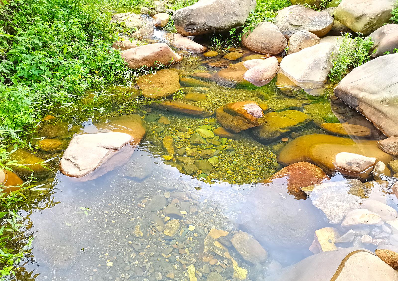 清澈的小溪水图片,清澈小溪图片,清澈的水图片_大山谷图库