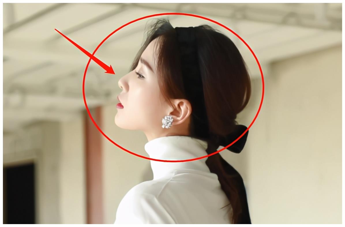 刘诗诗这个鼻子,并不是现在追求的那种小翘鼻.