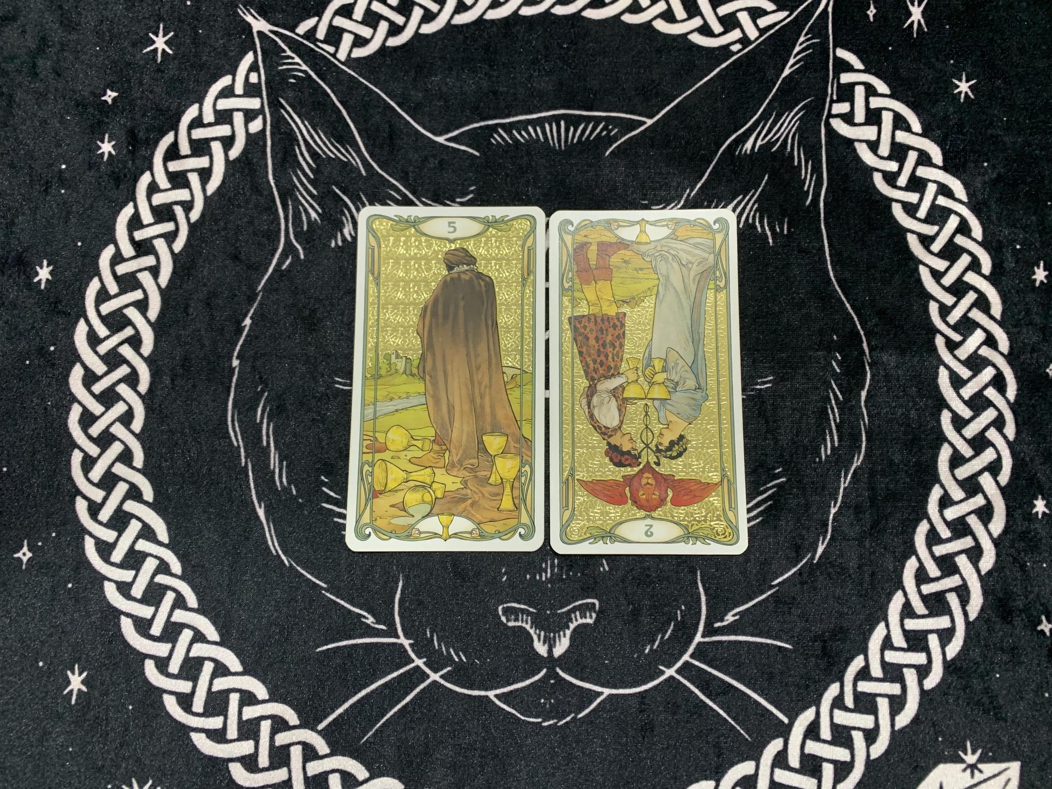 猫巫塔罗水象星座巨蟹天蝎双鱼下周运势调整个人状态