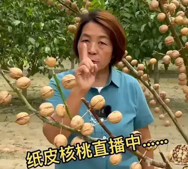 委员建议中小学生学插秧播种,网友称纳入素质教育可比肩中考体育休闲区蓝鸢梦想 - Www.slyday.coM 委员建议中小学生学插秧播种,网友称纳入素质教育可比肩中考体育休闲区蓝鸢梦想 - Www.slyday.coM