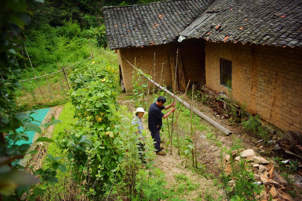 70岁大爷住山村瓦屋,邻居都已搬走,看他为啥不愿离开