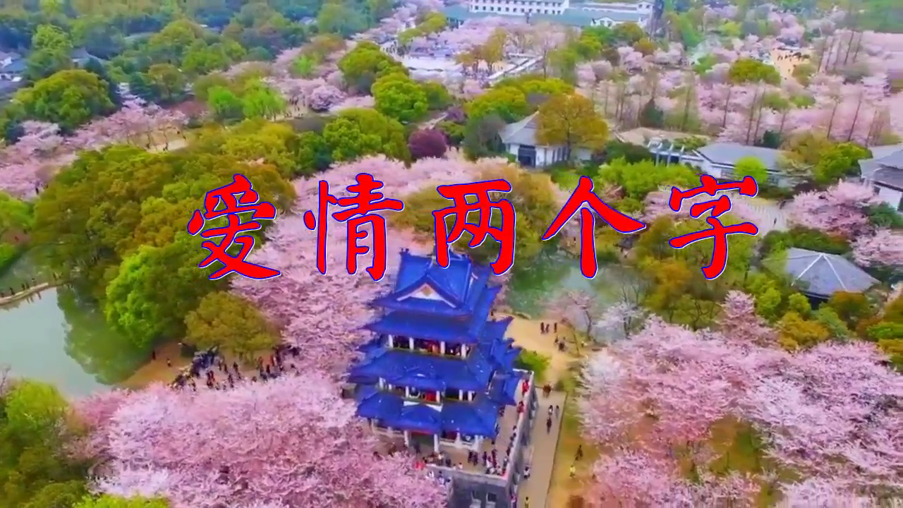 dj何鹏,张雷的《爱情两个字》,嗓音美妙,沁人心脾