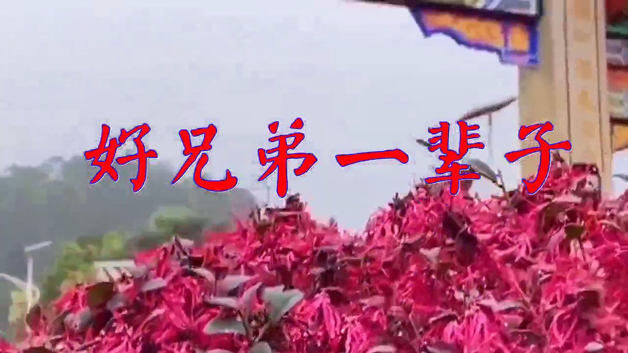 dj何鹏,萧磊,樊少华《好兄弟一辈子》,唱出新风情,嗓音甜美