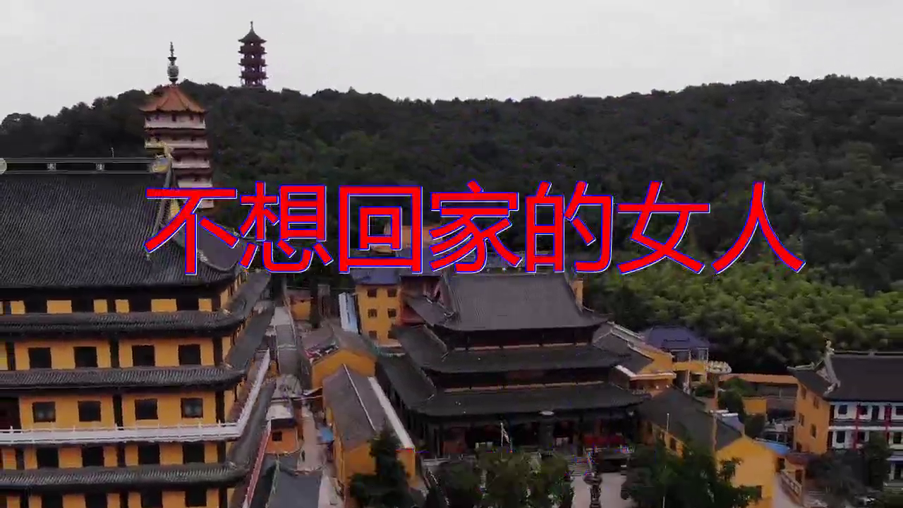 《不想回家的女人》,深情歌曲字正腔圆,宛如天籁