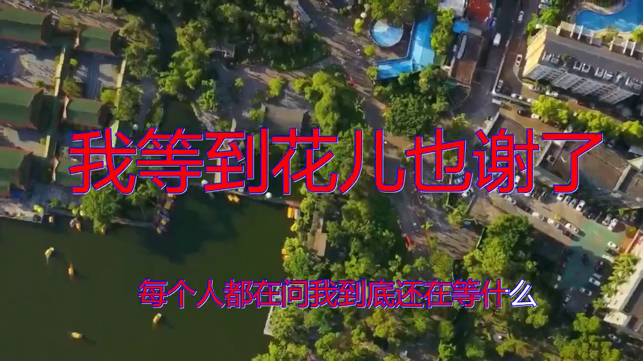 分享一首《我等到花儿也谢了》,歌喉清亮,非常动人