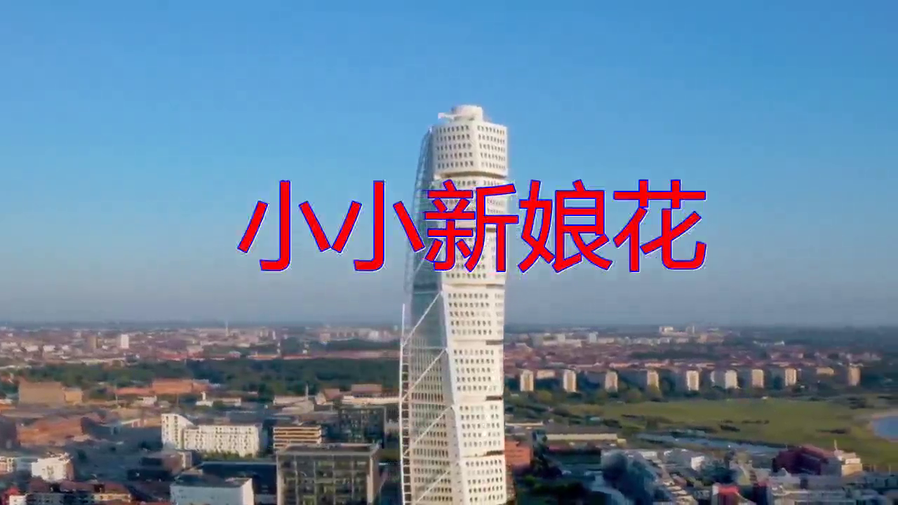 dj何鹏的一首《小小新娘花》,天籁之音,歌声优美