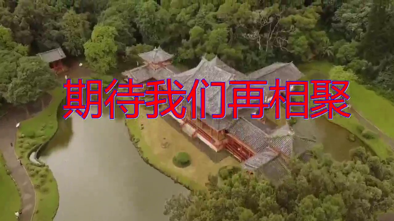 望海高歌的《期待我们再相聚》,旋律动听,嗓音婉转