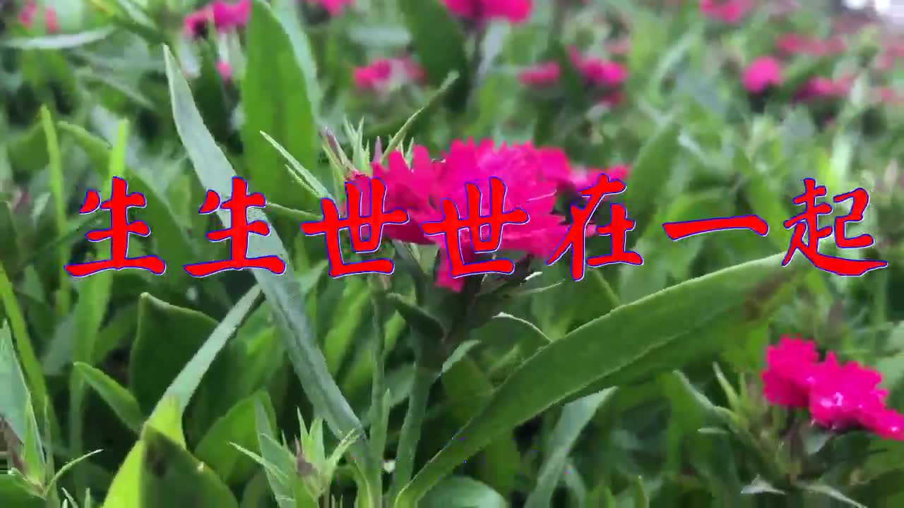 长春虫子,dj何鹏《生生世世在一起》,老歌听多少遍都不厌