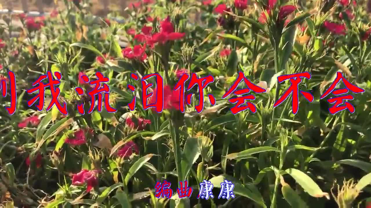 寂悸《看到我流泪你会不会心碎》,歌好美好甜,好怀念!