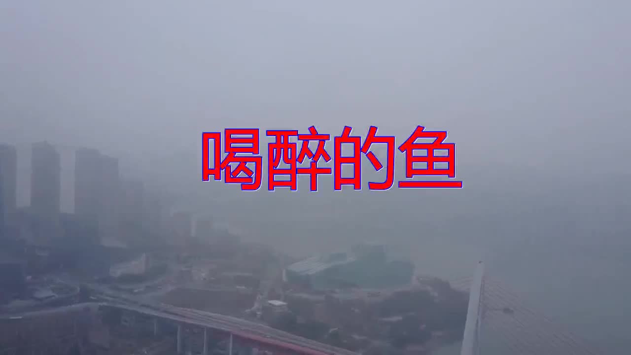 《喝醉的鱼》,让人赞叹不已,燕语莺声