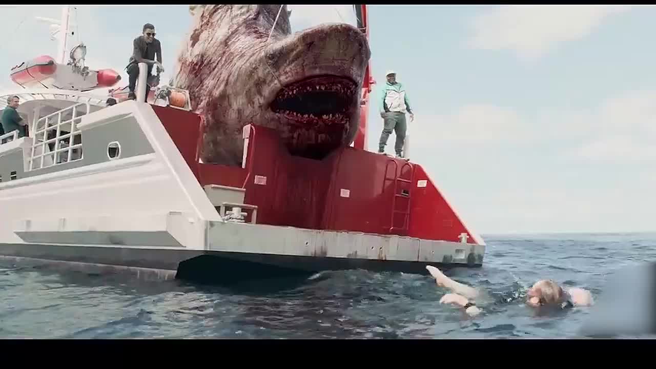 一山一山高,一鲨鱼比一鲨鱼大