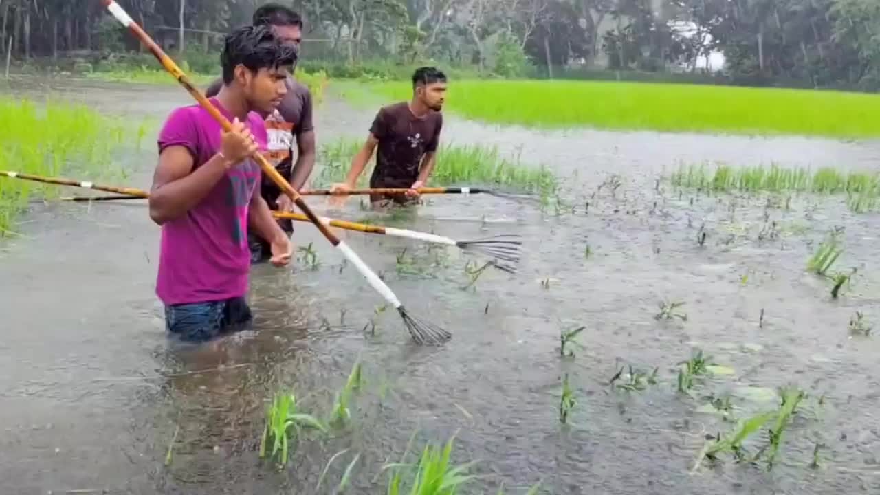 小伙野外抓鱼拿着长长的鱼叉一叉一个准看看抓获了多少