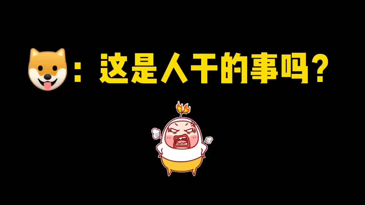 狗:这是人干的事吗?有没有人管管,笑死了