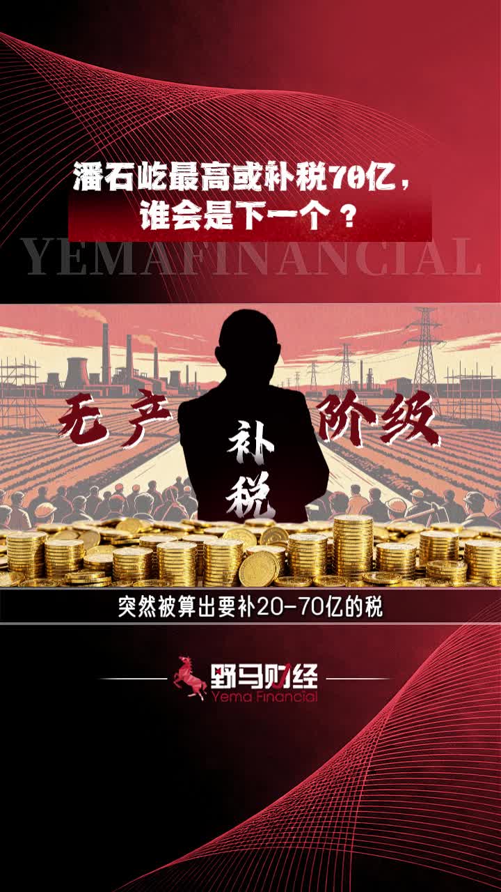 潘石屹最高或补税70亿，谁会是下一个？