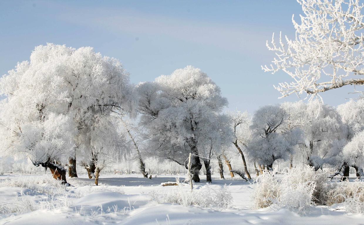 为什么东北的松花江沿岸地区经常会看到壮观的雾凇景观