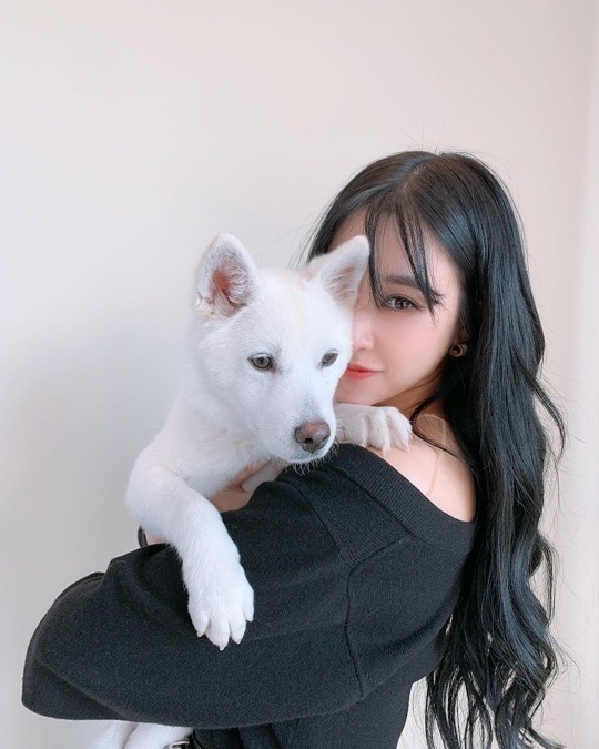 韩国女歌手tiffany社交网站发布与宠物犬合影