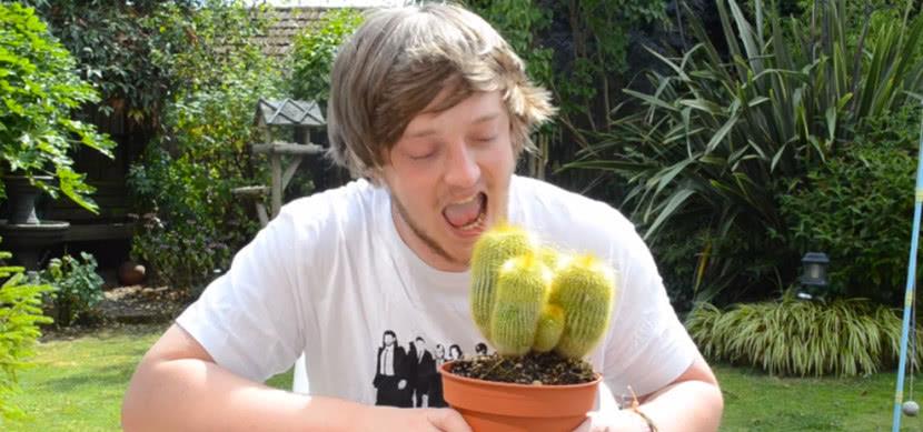 仙人掌那么多刺,这个国家的人怎么这么喜欢吃,不怕中毒吗