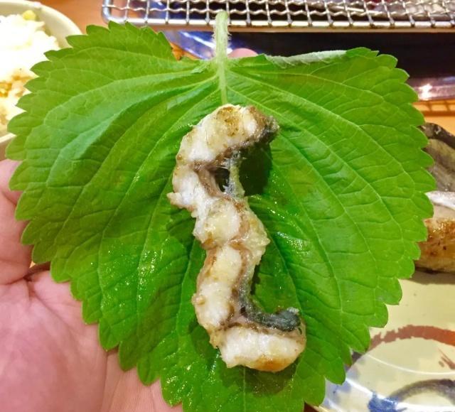 韩国人在青岛城阳开的烧烤店,活八带直接在面前烤,烤鳗鱼很不错