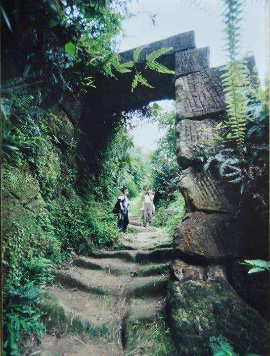 犍为县有一个鲜为人知的世外桃源一一铁山美景