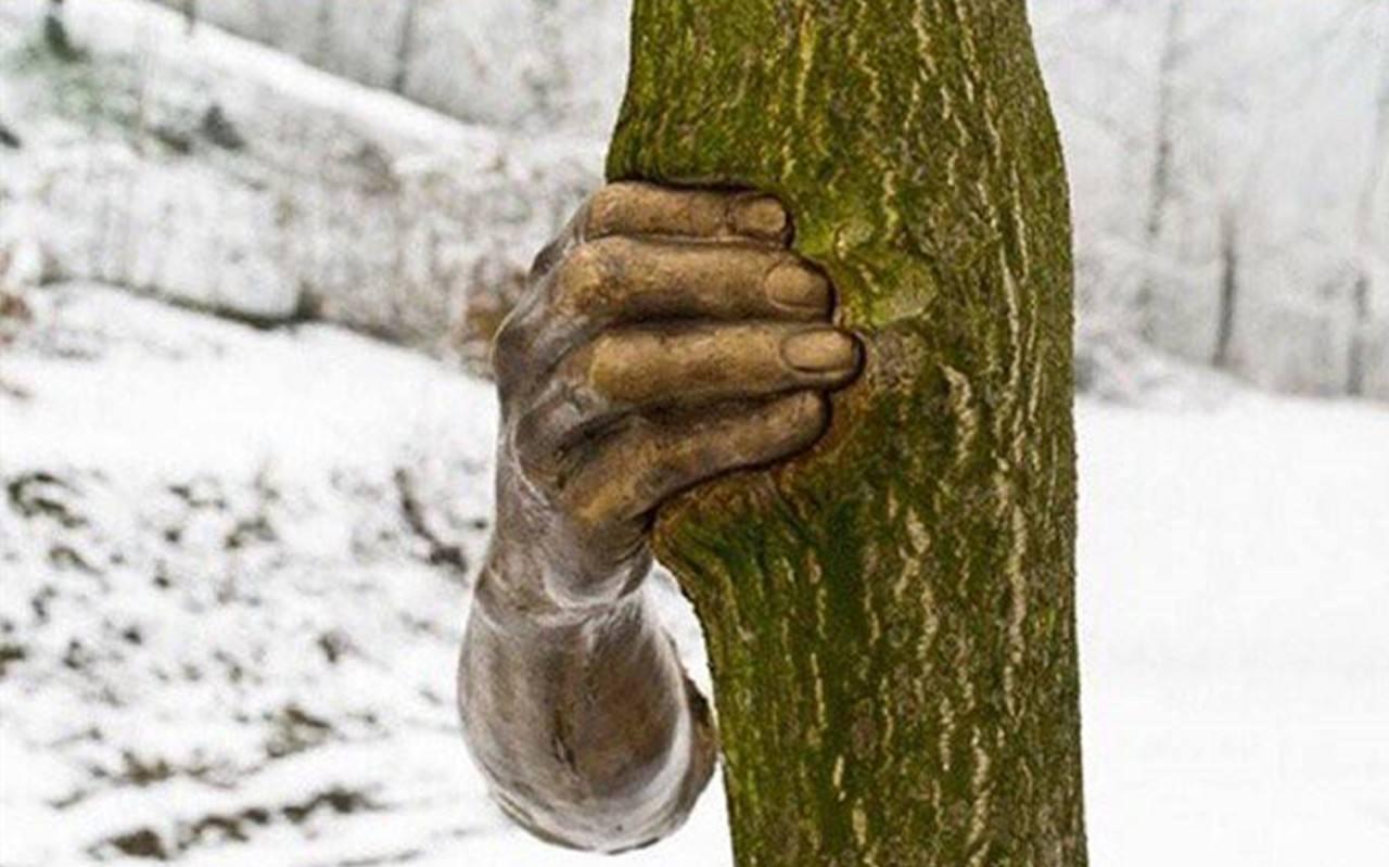 世界上最孤独的手,紧握一棵树50年,从未松开过!