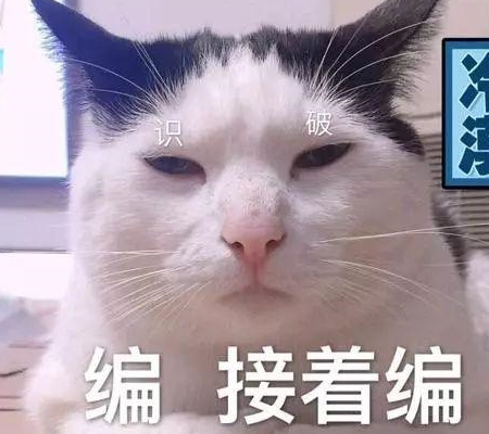 猫咪那些稀奇古怪的名字